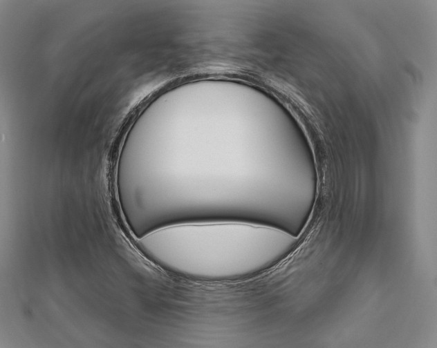 X0000113151404200909040922