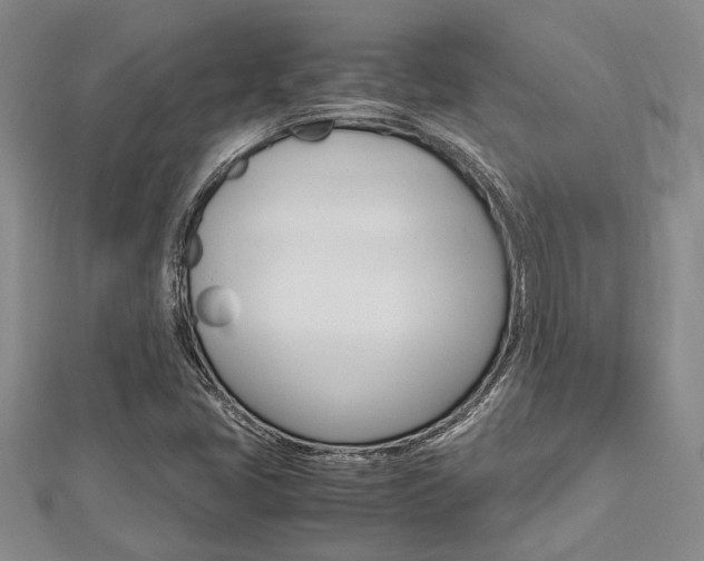 X0000113151405200909040922