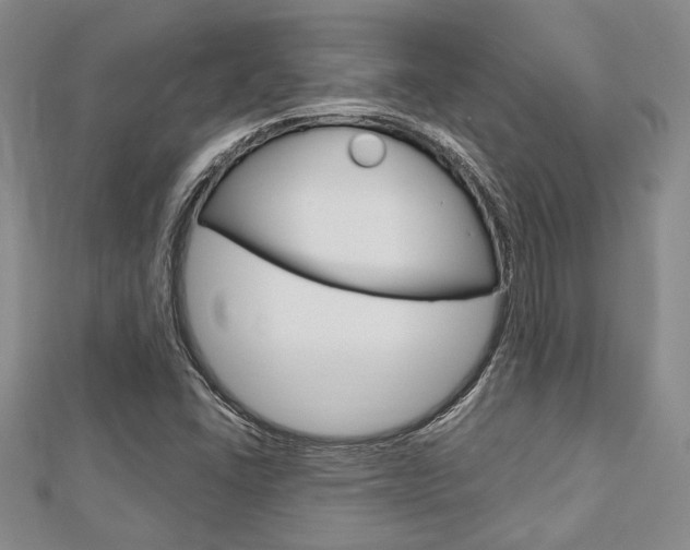 X0000113151406200909040922