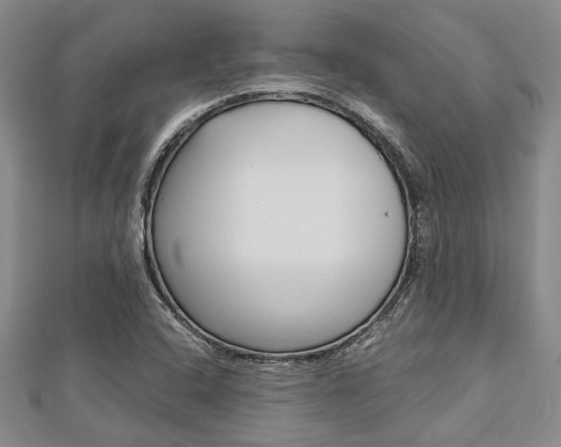 X0000113151408200909040922