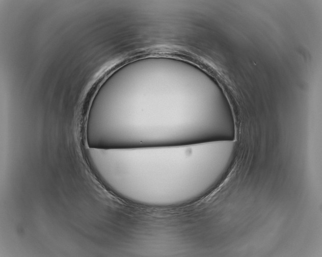 X0000113151410200909040922