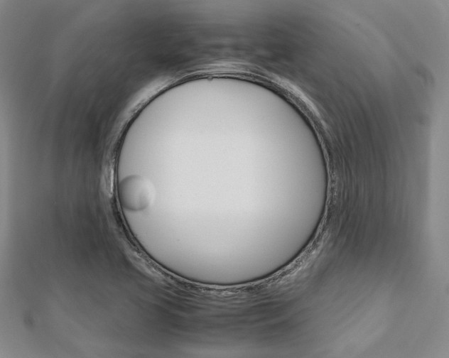 X0000113151413200909040922