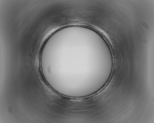 X0000113151415200909040922