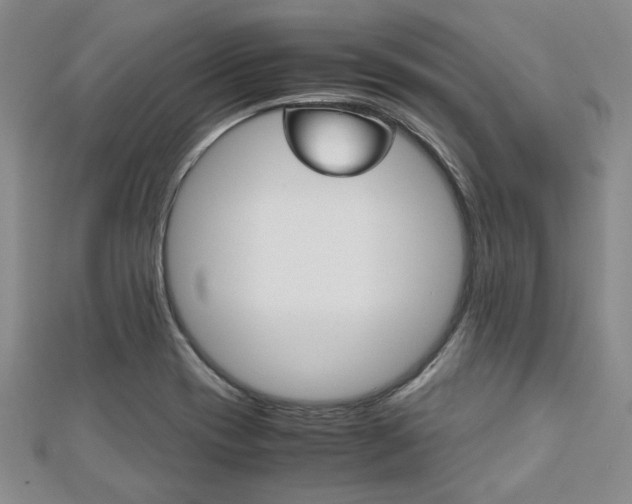 X0000113151417200909040922