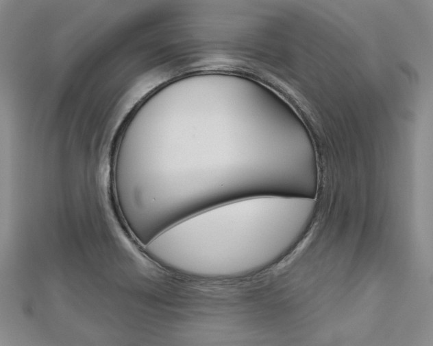 X0000113151418200909040922