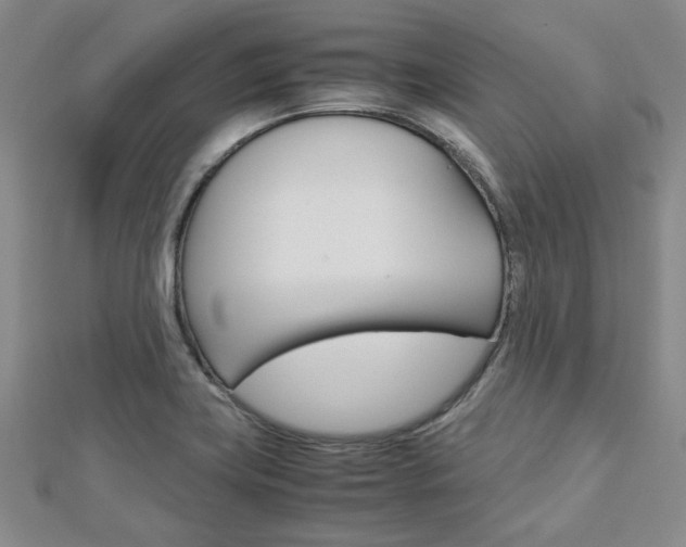 X0000113151419200909040922