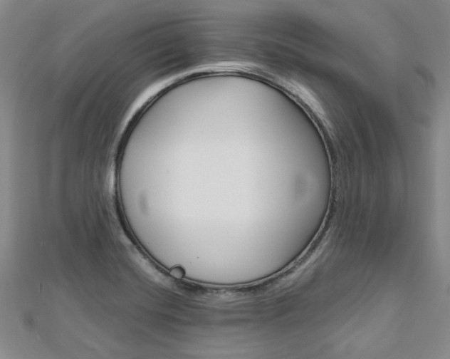 X0000113151420200909040922