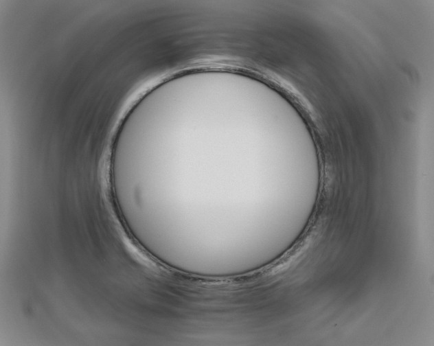 X0000113151421200909040922