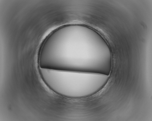 X0000113151422200909040922
