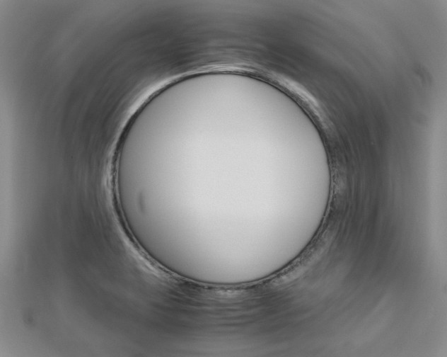 X0000113151423200909040922
