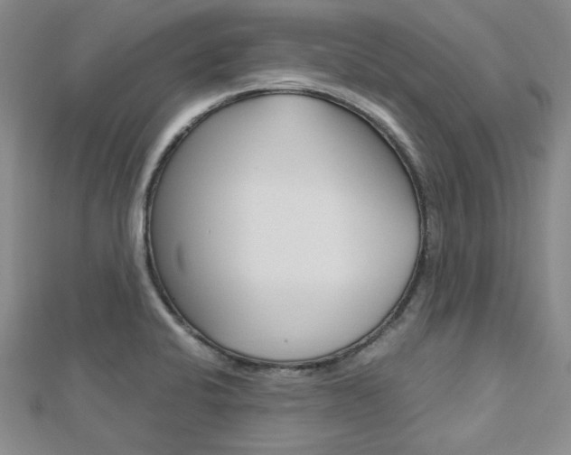 X0000113151424200909040922
