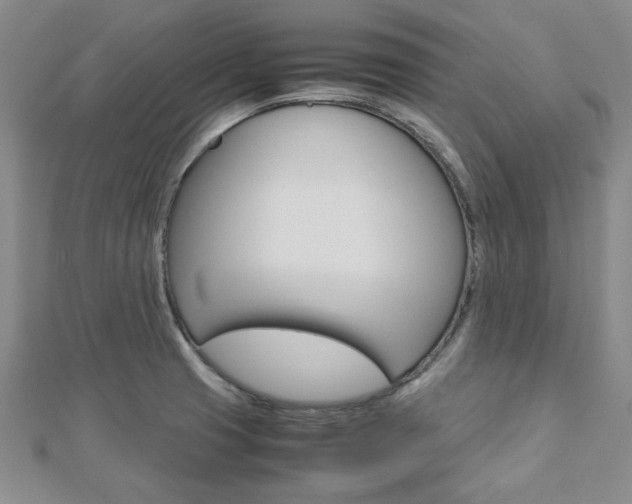 X0000113151425200909040922