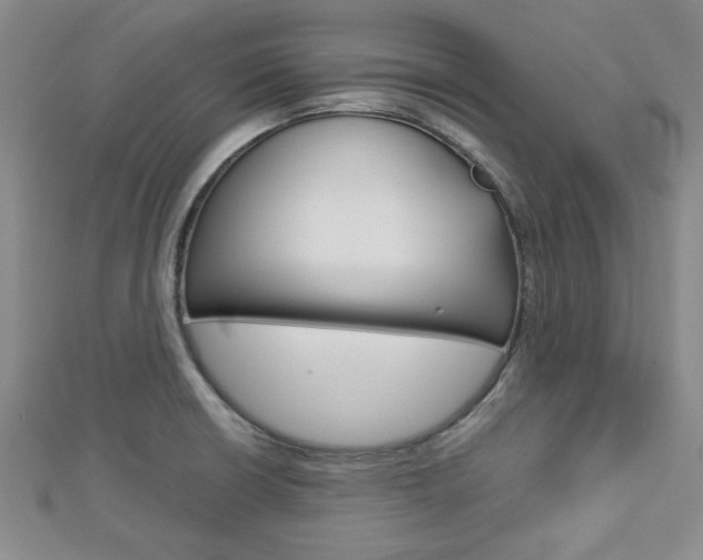 X0000113151426200909040922