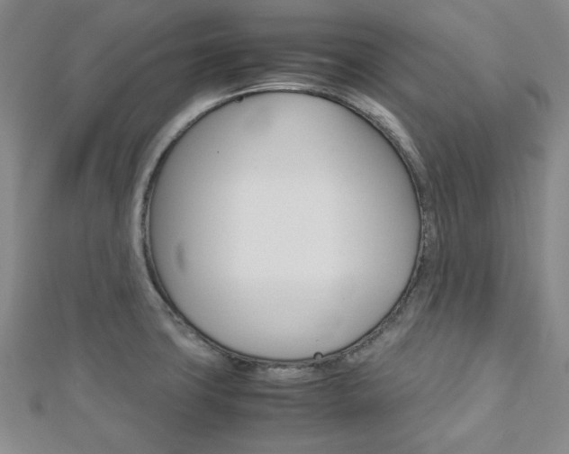 X0000113151427200909040922