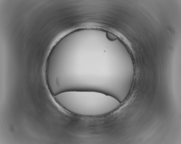 X0000113151429200909040923