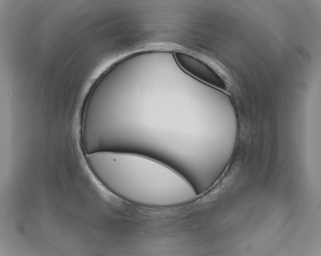 X0000113151430200909040923
