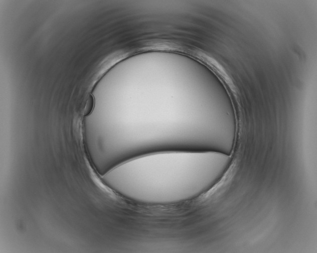 X0000113151433200909040923