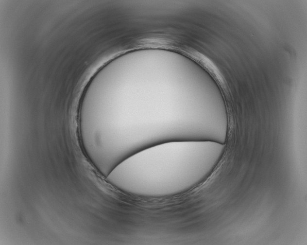 X0000113151435200909040923