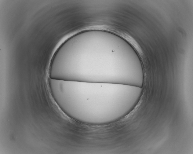 X0000113151436200909040923