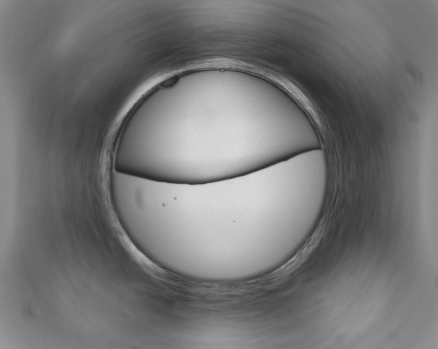 X0000113151438200909040923