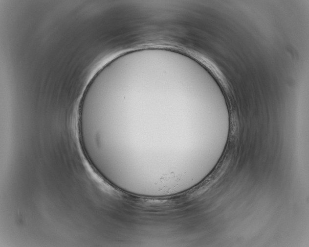 X0000113151439200909040923