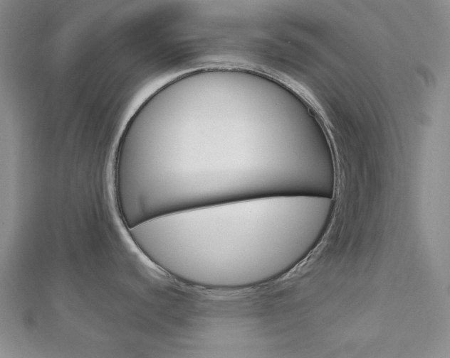 X0000113151440200909040923