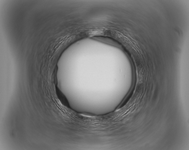 X0000113151441200909040922