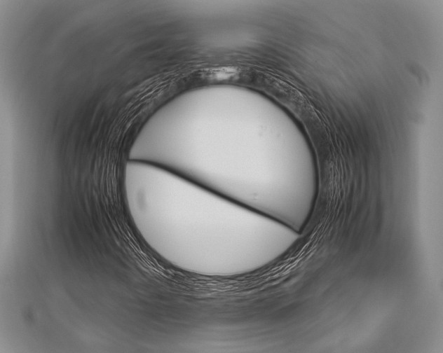 X0000113151442200909040922