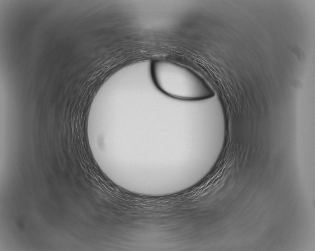 X0000113151443200909040922