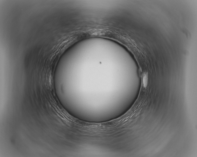 X0000113151444200909040922