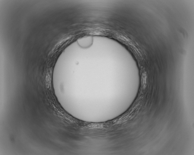 X0000113151446200909040922
