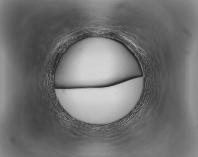 X0000113151447200909040922
