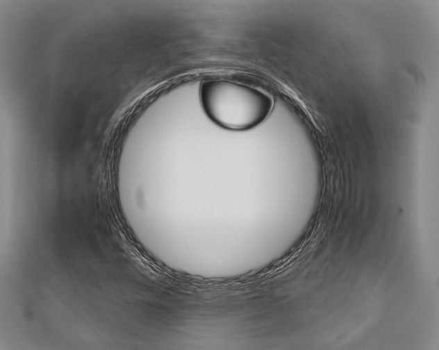 X0000113151448200909040922
