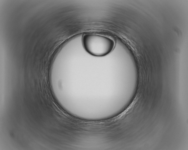X0000113151449200909040922
