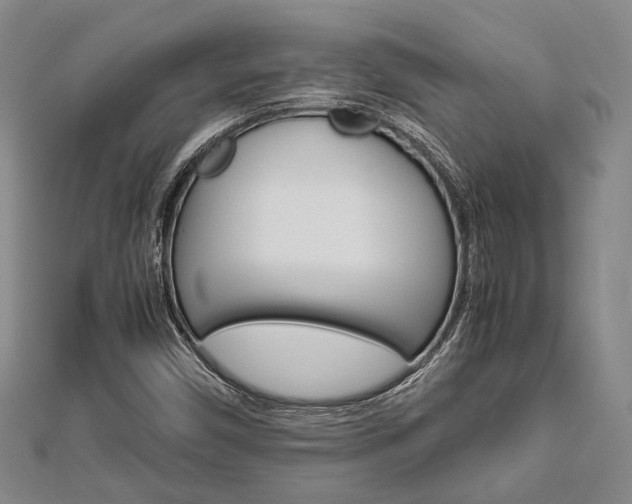 X0000113151450200909040922