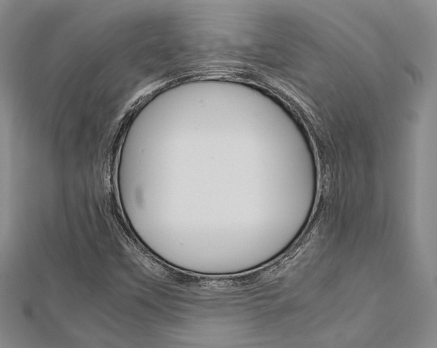 X0000113151451200909040922
