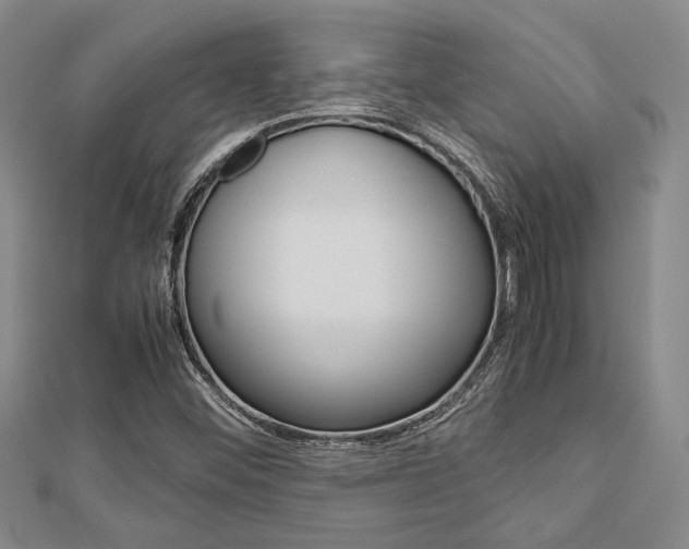 X0000113151452200909040922