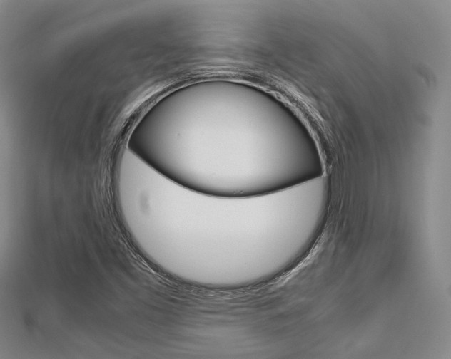 X0000113151453200909040922