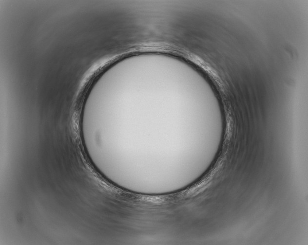 X0000113151454200909040922