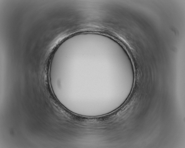 X0000113151455200909040922