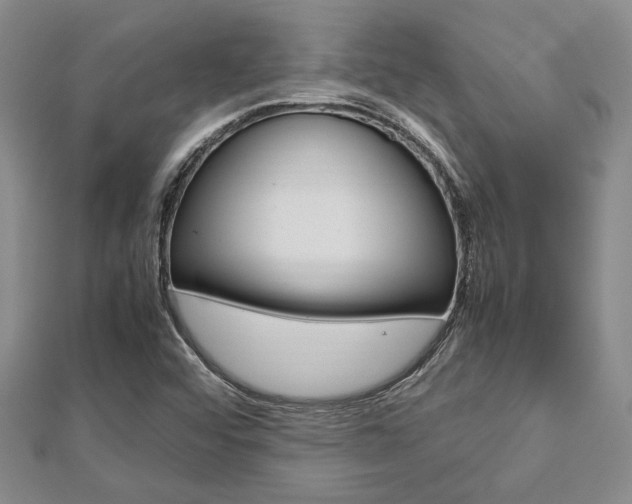 X0000113151456200909040922