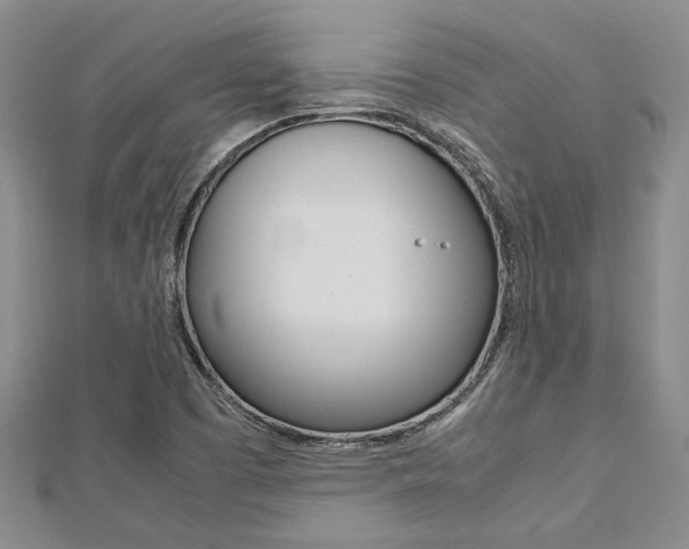 X0000113151457200909040922