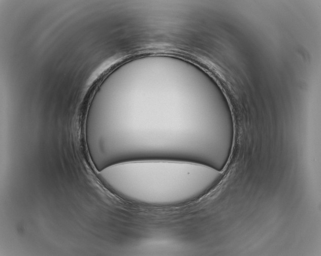 X0000113151458200909040922