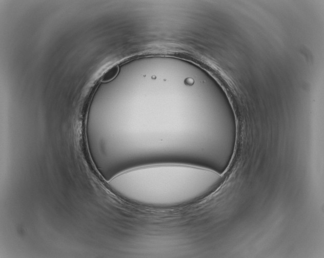 X0000113151459200909040922