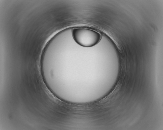 X0000113151460200909040922