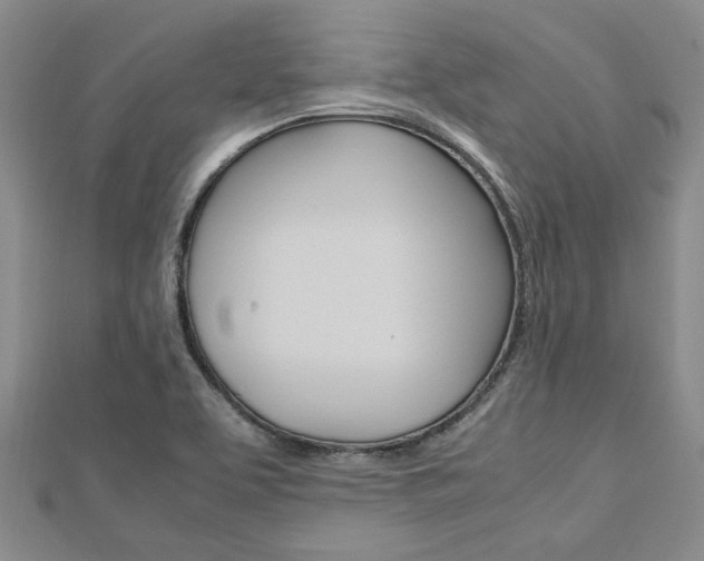 X0000113151463200909040922
