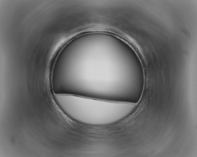 X0000113151464200909040922