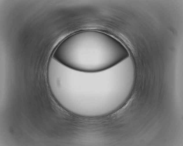 X0000113151465200909040922