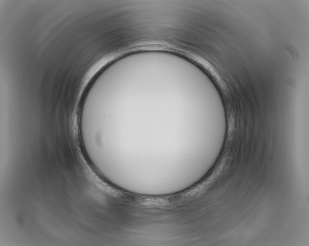 X0000113151466200909040922