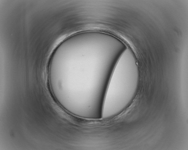X0000113151467200909040922